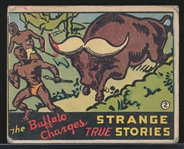 1936 N144 Wolverine Gum Strange True Stories #2 The Buffalo Charges