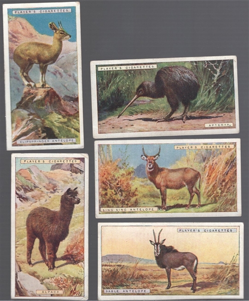 1924 John Player & Sons “Natural History” Non-Sports- 1 Complete Set of 50 Cards