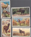 1924 John Player & Sons “Natural History” Non-Sports- 1 Complete Set of 50 Cards