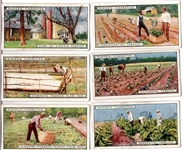 1926 John Player “From Plantation to Smoker” Non-Sports- 1 Complete Set of 25 Cards