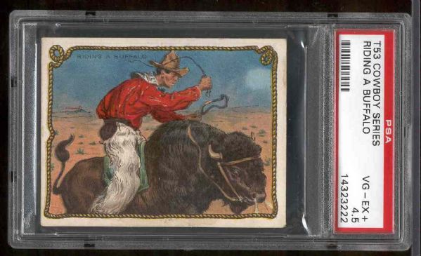 1909 T53 Cowboy Series- “Riding A Buffalo”- PSA Vg-Ex+ 4.5 