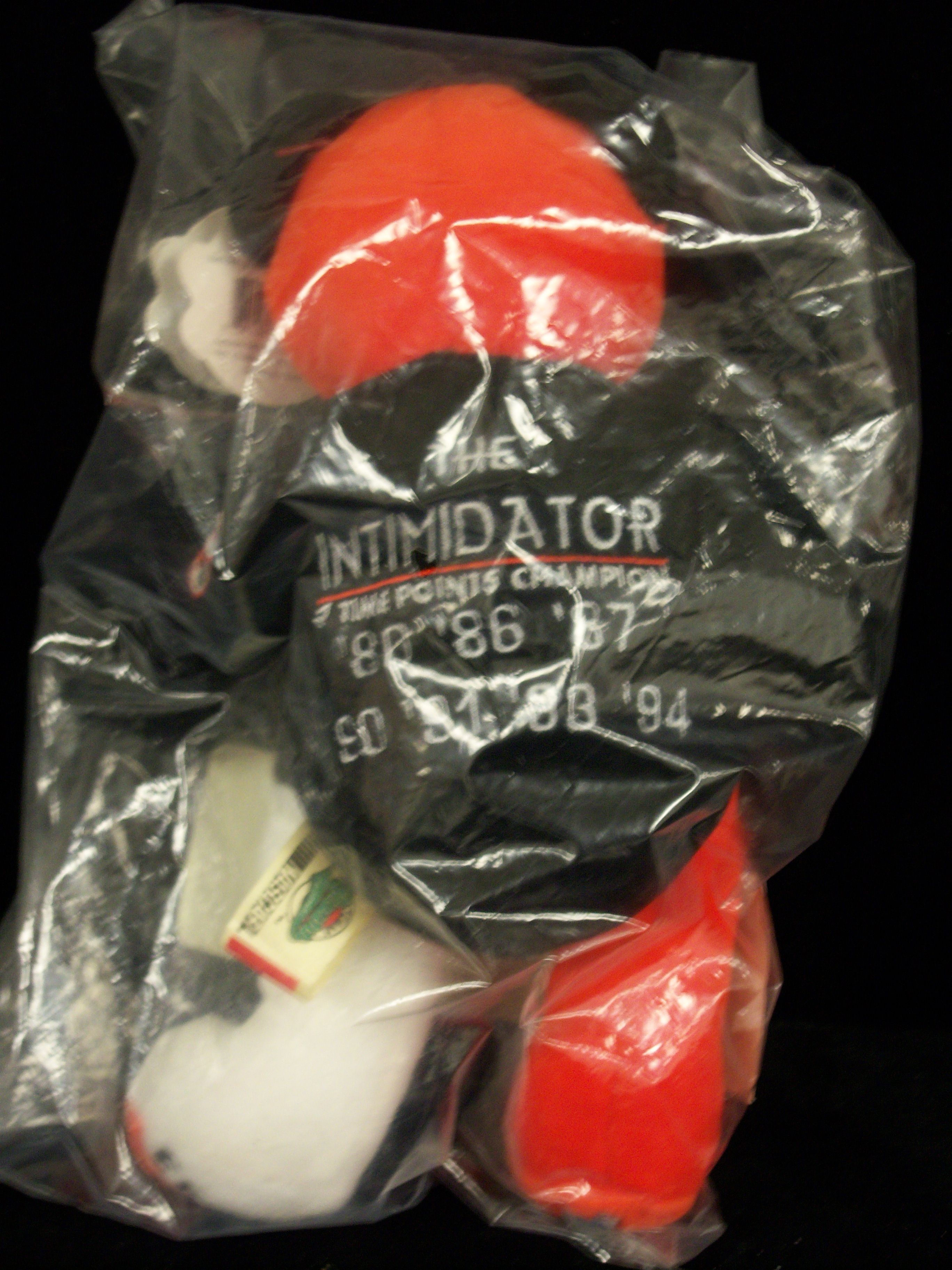 dale earnhardt beanie baby