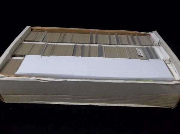 3000 Ct. Box- Clean Up Lot