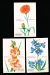 1920’s? Coca-Cola “Favorite Flowers” (F213-2) Near Set- 17 of 20
