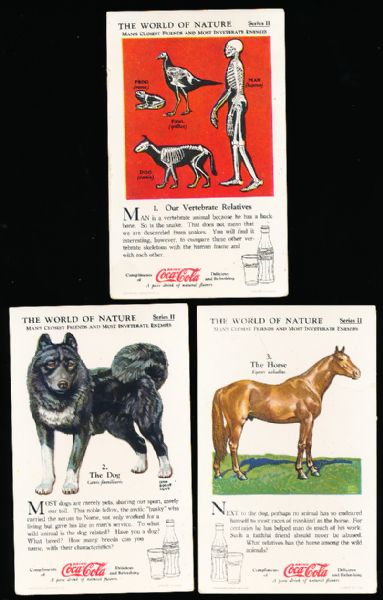 1929-‘33 Coca-Cola “Nature Study Cards” (F213-3) Complete Series #2 “Man’s Closest Friends & Most Inveterate Enemies” Set of 12 in Original Sleeve!