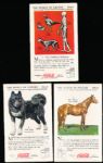 1929-‘33 Coca-Cola “Nature Study Cards” (F213-3) Complete Series #2 “Man’s Closest Friends & Most Inveterate Enemies” Set of 12 in Original Sleeve!