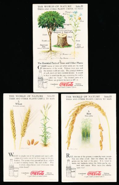 1929-‘33 Coca-Cola “Nature Study Cards” (F213-3) Complete Series #3 “Trees and other Plants Useful to Man” Set of 12 in Original Sleeve!
