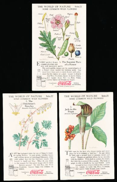 1929-‘33 Coca-Cola “Nature Study Cards” (F213-3) Complete Series #4 “Some Common Wild Flowers” Set of 12 in Original Sleeve! 