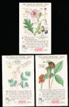 1929-‘33 Coca-Cola “Nature Study Cards” (F213-3) Complete Series #4 “Some Common Wild Flowers” Set of 12 in Original Sleeve! 