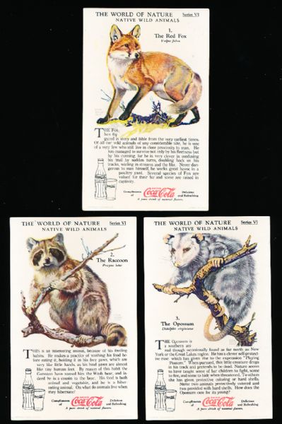 1929-‘33 Coca-Cola “Nature Study Cards” (F213-3) Complete Series #6 “Native Wild Animals” Set of 12 in Original Sleeve!