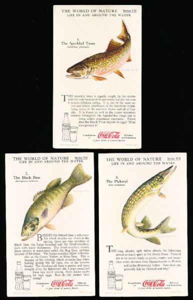 1929-’33 Coca-Cola “Nature Study Cards” (F213-3) Complete Series #7 “Live In and Around the Water” Set of 12