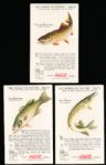 1929-’33 Coca-Cola “Nature Study Cards” (F213-3) Complete Series #7 “Live In and Around the Water” Set of 12