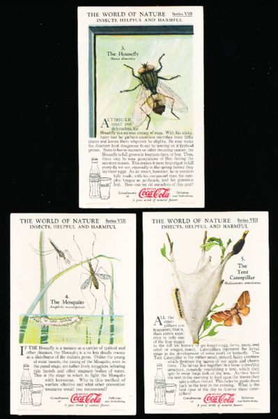 1929-‘33 Coca-Cola “Nature Study Cards” (F213-3) Complete Series #8 “Insects, Helpful and Harmful” Set of 12 in Original Sleeve! 