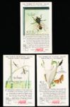 1929-‘33 Coca-Cola “Nature Study Cards” (F213-3) Complete Series #8 “Insects, Helpful and Harmful” Set of 12 in Original Sleeve! 