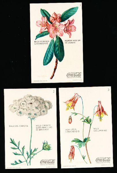 1930’s? Coca-Cola “Wild Flowers of America” (F213-4) Complete Set of 20