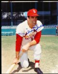 Mike Shannon Autographed St. Louis Cardinals 8 x 10 Color Photo