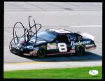 Dale Earnhardt, Jr. Autographed Budweiser Racing #8 Car 8” x 10” Photo- JSA Authenticated