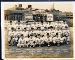 1940 Toledo Mud Hens 8” x 10” Team Picture- Back has stamp “L.J. Billman Studio. Toledo Ohio”
