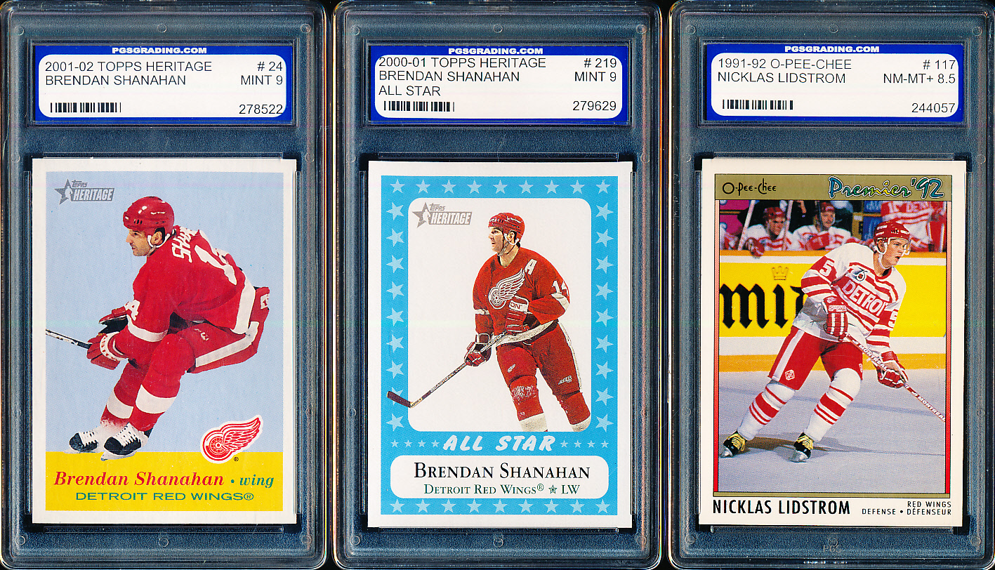 Lot Detail 3 Diff. PGS Graded Detroit Red Wings Cards