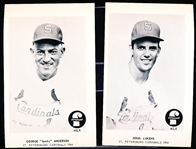 1966 Foremost Milk- St. Petersburg Cardinals- Minor League Baseball Set of 20