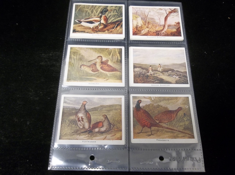 1923 Mac Fisheries Game Poultry “Sporting Prints” English Complete Set of 12 in Pages