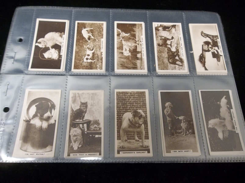 1931 J. Millhoff & Co. Ltd. Animals “Real Photographs A Series” Complete English Tobacco Set of 27 in Pages