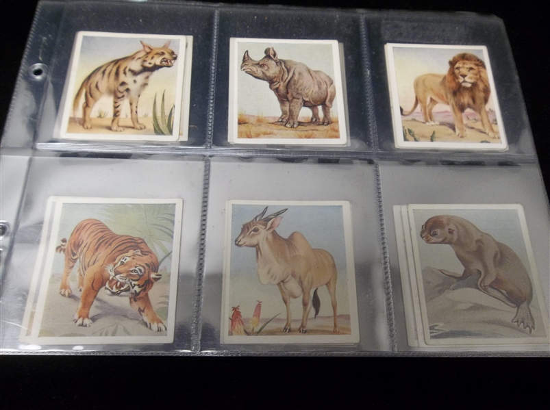 1936 Godfrey Phillips “Animal Studies” Complete English Set of 30 in Pages