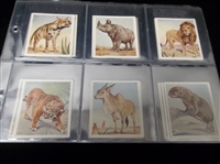 1936 Godfrey Phillips “Animal Studies” Complete English Set of 30 in Pages