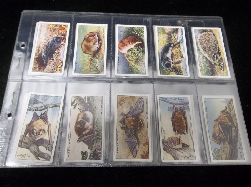 1939 John Player “Animals of the Countryside” Complete English Tobacco Set of 50 in Pages