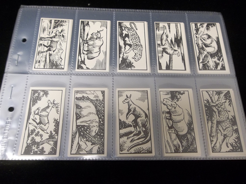 1953 R. Marcantonio Ltd. “Interesting Animals” Complete B & W English Set of 50 in Pages