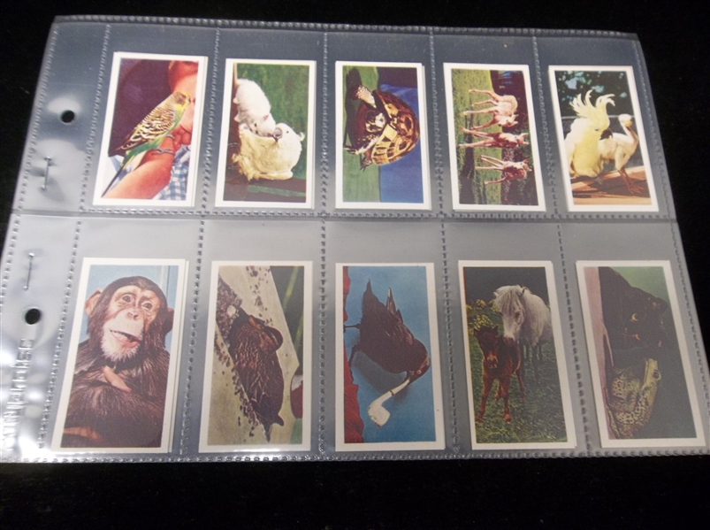 1958 Kane Products Ltd. “National Pets Club” Complete English Set of 25 in Pages