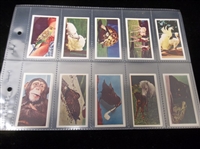 1958 Kane Products Ltd. “National Pets Club” Complete English Set of 25 in Pages