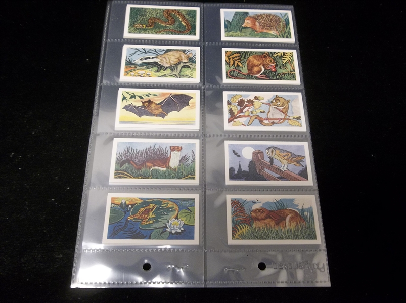 1959 Sweetule Products Ltd. “Animals of the Countryside” Complete English Set of 25 in Pages