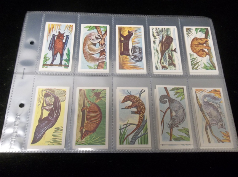 1961 Miranda Confections Products “Strange Creatures” Complete English Set of 50 in Pages