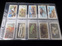 1963 Brooke Bond “Wildlife in Danger” Complete English Set of 50 in Pages