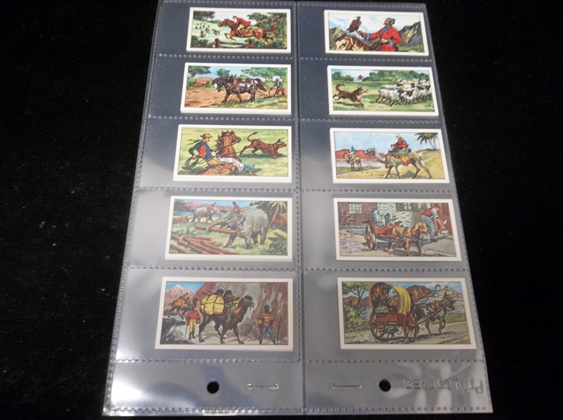 1964 Barratt & Co. “Animals in the Service of Man” Complete English Set of 25 in Pages