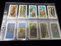 1972 Brooke Bond Tea “Animals and Their Young” Complete Canadian Set of 48 in Pages