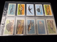 1976 Brooke Bond Tea “Wonders of Wildlife” Complete Canadian Set of 50 in Pages