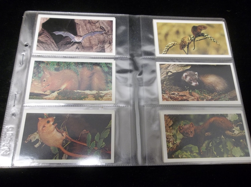 1984 John Player & Sons Grandee “Britain’s Endangered Wildlife” Complete English Set of 32 in Pages