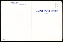 1955 Cleveland Browns NFL Giant Postcard- Don Colo