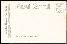 Columbus Dispatch Post Cards “16,195 Fans watching the July 1 Base Ball Game between Columbus and Toledo” Pre-Linen Postcard