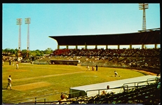 Hillsboro News Co. “TK.16, 5C-K843 Al Lopez Baseball Field” Chrome Postcard