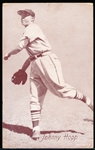 1947-66 Baseball Exhibit- Johnny Hopp