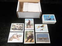 1992 Dinocardz Co. “Dinosaur” Complete Set of 80 Plus Another Near Set (79/80) and Extra Cards