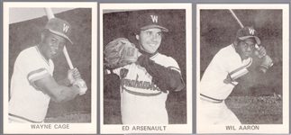 1976 Williamsport Tomahawks Minor League Baseball Near Set of 22 of 23- missing checklist card. 