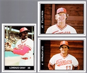 1982 TCMA Minor League Bb- Edmonton Trappers Set of 25