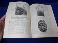 Nov. 1928 Nature Magazine- Turkey Vultures Cover