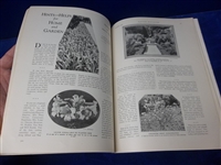 Nov. 1928 Nature Magazine- Turkey Vultures Cover